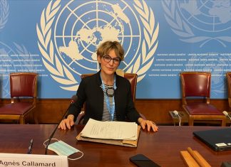 Birleşmiş Milletler Yargısız ve Keyfi İnfazlar Özel Raportörü Agnes Callamard