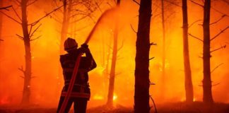 Fransa'da Gironde'daki yangınlar, 10'uncu gününde hala kontrol altına alınamadı
