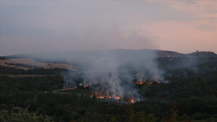 Bulgaristan'ın Türkiye sınırı yakınında yangın çıktı
