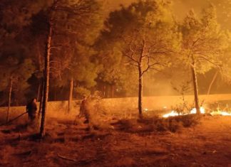 Ağırdağ bölgesindeki yangın söndürüldü