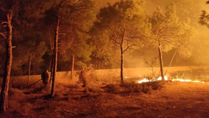 Ağırdağ bölgesindeki yangın söndürüldü