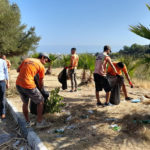 Girne Belediyesi’nden Girne-Lefkoşa ana yolunda temizlik