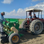 Çiftçiler Birliği, sertifikalı arpa buğday tohumları için adaptasyon gözetleme parselleri kurdu