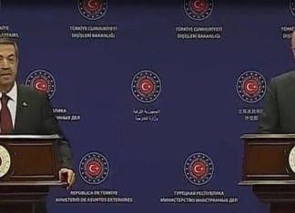 Tahsin Ertuğruloğlu Mevlüt Çavuşoğlu