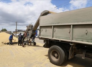 Tahıl krizinin yaşandığı Tunus’a ABD’den 25 bin ton buğday desteği