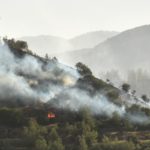 Orman Dairesi Müdürü Salih Güneş: Yeşilırmak'ta 400 dönüm alan yandı, soğutma çalışmaları sürüyor