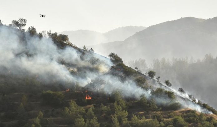Orman Dairesi Müdürü Salih Güneş: Yeşilırmak'ta 400 dönüm alan yandı, soğutma çalışmaları sürüyor