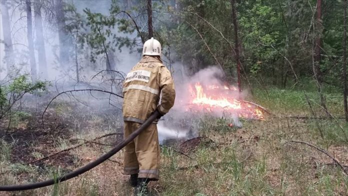 Kazakistan’daki orman yangın