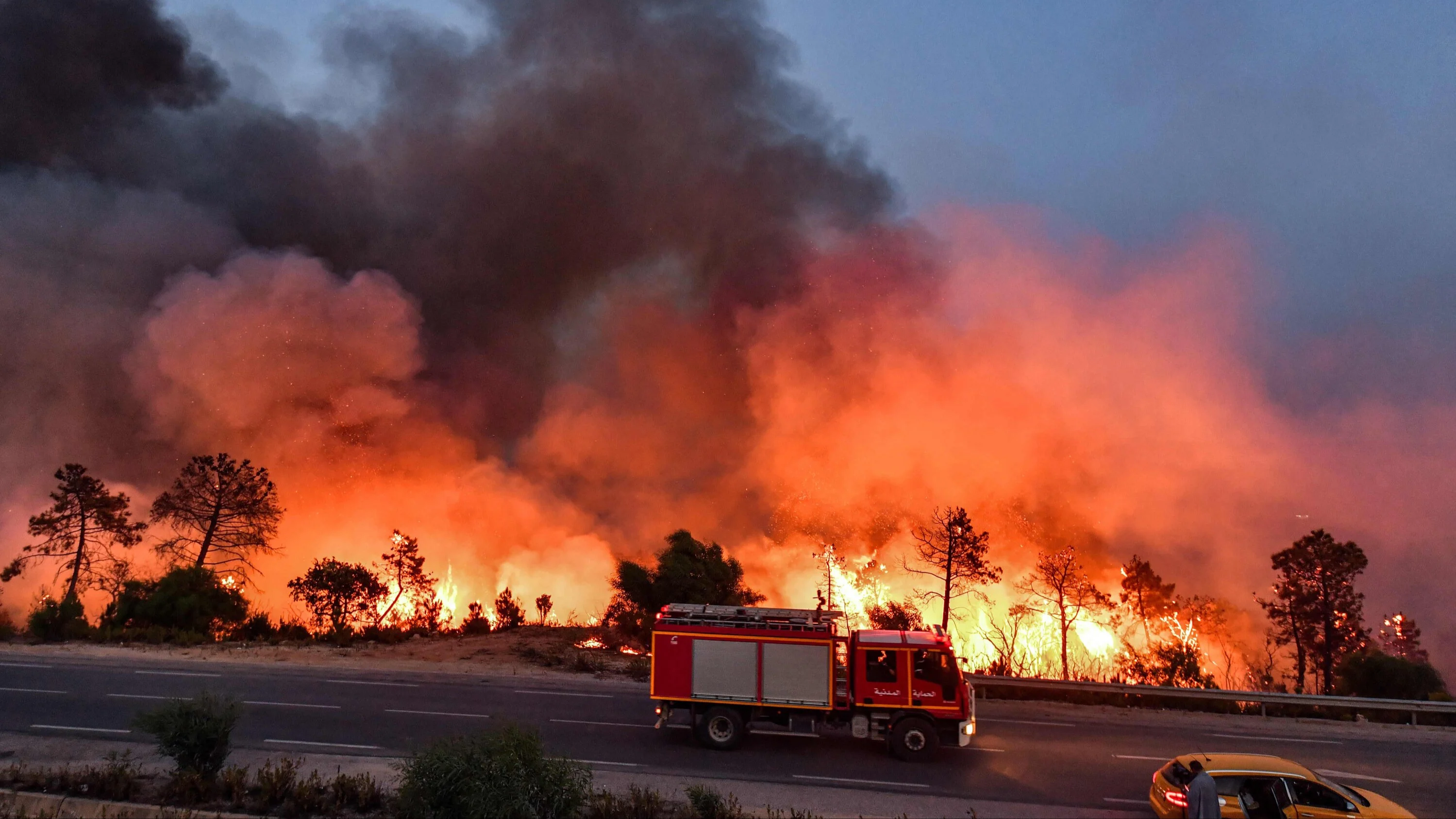 Yunanistan’daki orman yangın yunanistan-orman-2078701