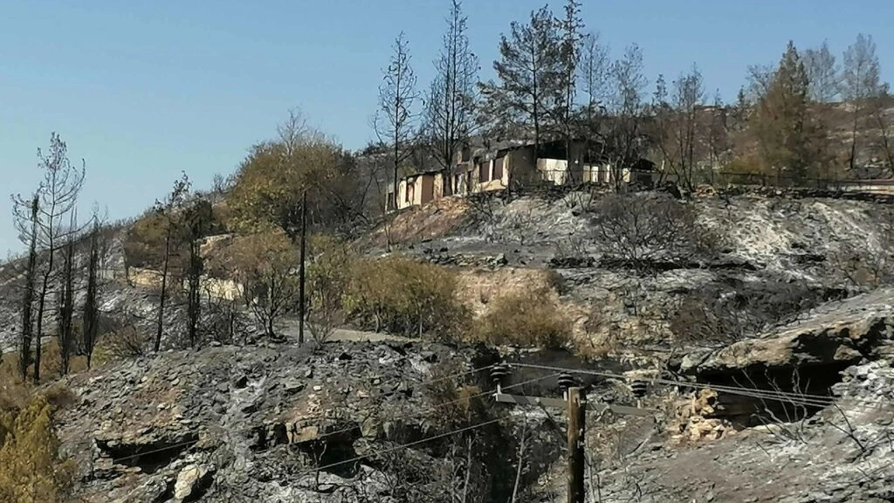 Limasol’a bağlı Alassa köyü yangın